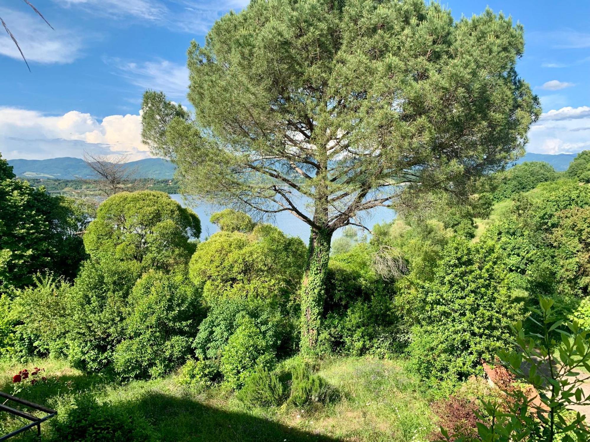 Villa Del Lago Barberino di Mugello Bagian luar foto